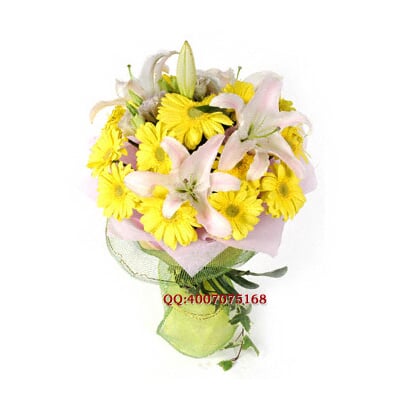 2010060917383525.jpg