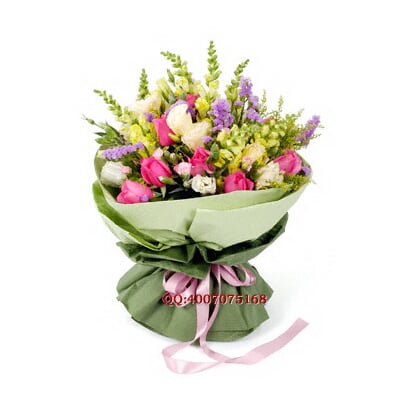 2010061010454831.jpg