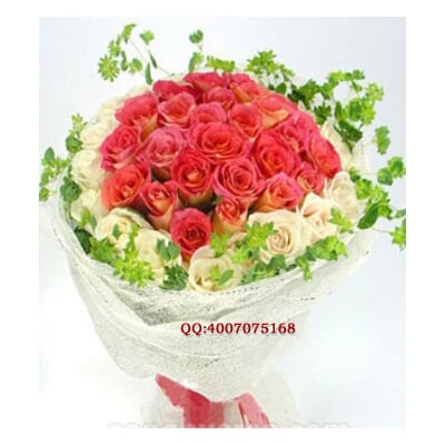 2010062310552727.jpg