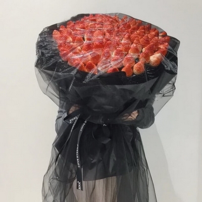 只为遇见