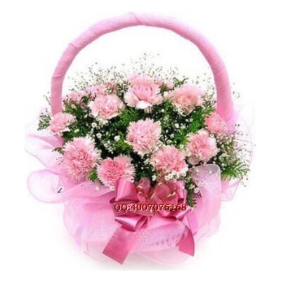 2010070517395549.jpg