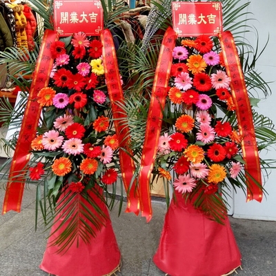 舒适财富