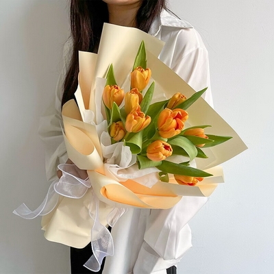 优美动人