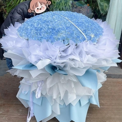 爱情亚里莎