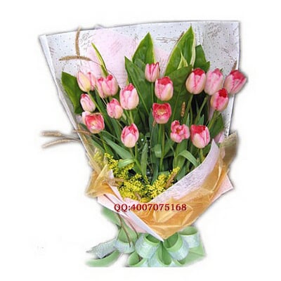 20111201023305.jpg