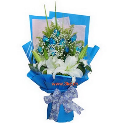 T1xAdFXiXgXXcbEKo1_041001.jpg